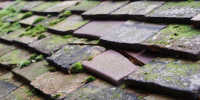 Tregele roof repair costs